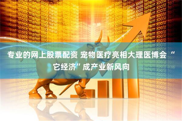 专业的网上股票配资 宠物医疗亮相大理医博会 “它经济”成产业新风向
