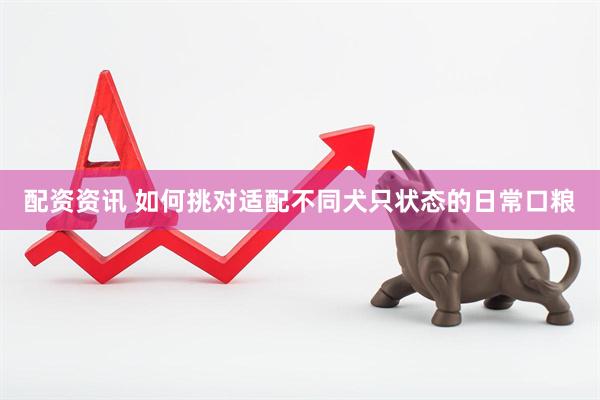 配资资讯 如何挑对适配不同犬只状态的日常口粮